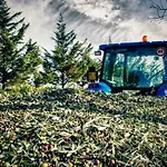Il Melograno Panoramahaus By Interhome San Venanzo