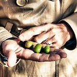 Il Melograno Panoramahaus By Interhome アパート サン・ヴェナンツォ