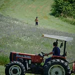 Il Melograno Panoramahaus By Interhome *
