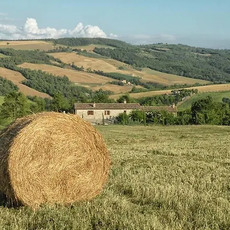 Il Melograno Panoramahaus By Interhome