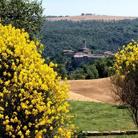 Il Melograno Panoramahaus By Interhome アパート
