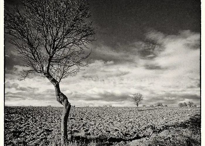 Il Melograno Panoramahaus By Interhome Apartamento