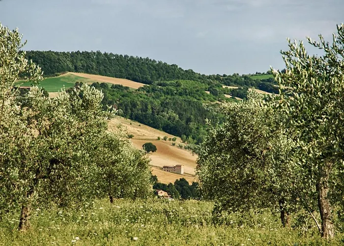 Il Melograno Panoramahaus By Interhome * San Venanzo
