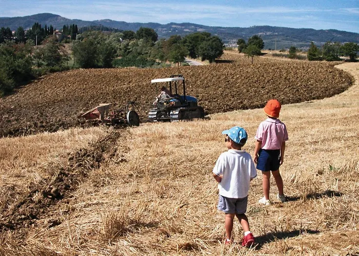 Apartamento Il Melograno Panoramahaus By Interhome