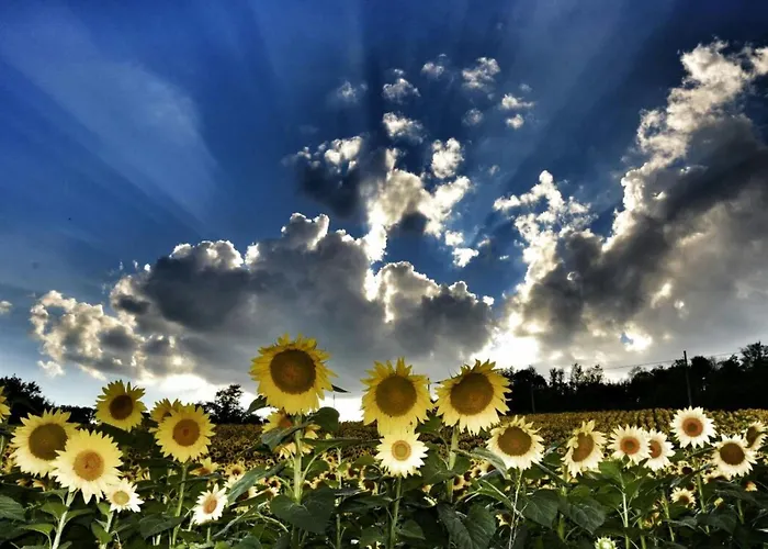 Apartamento Il Melograno Panoramahaus By Interhome *